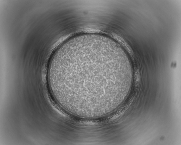 X0000099320533200805231427