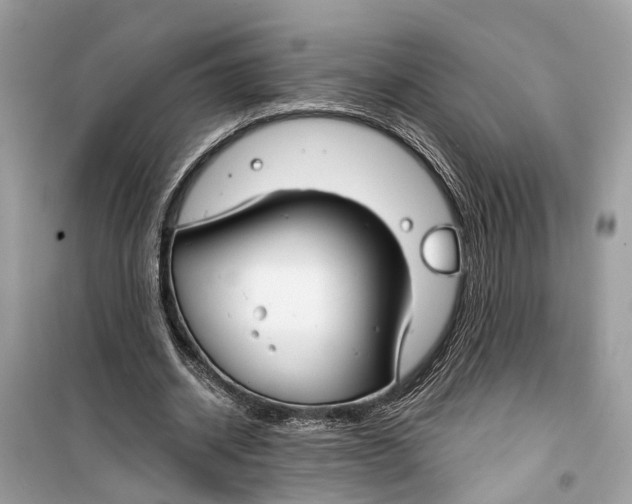 X0000099320534200805231427