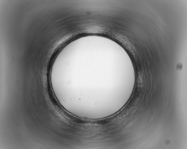 X0000099320535200805231427