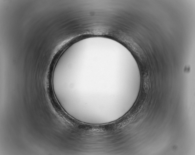 X0000099320536200805231427