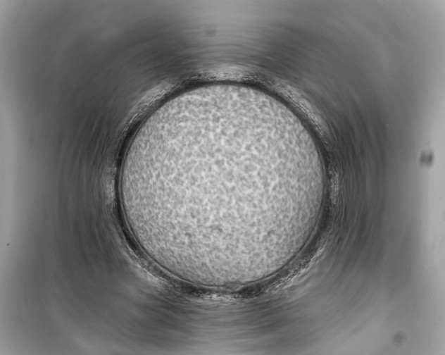 X0000099320537200805231427