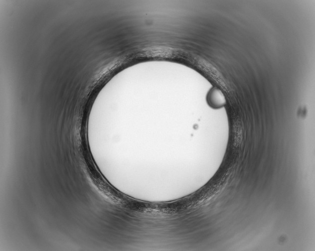 X0000099320538200805231427