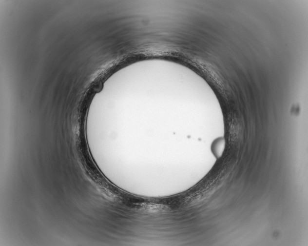 X0000099320539200805231427