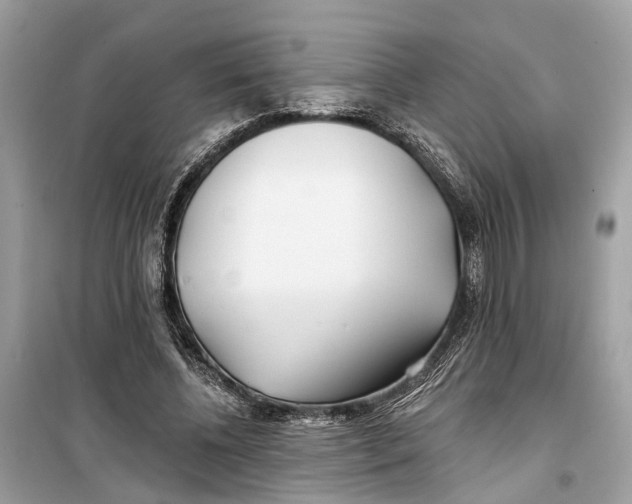 X0000099320540200805231427