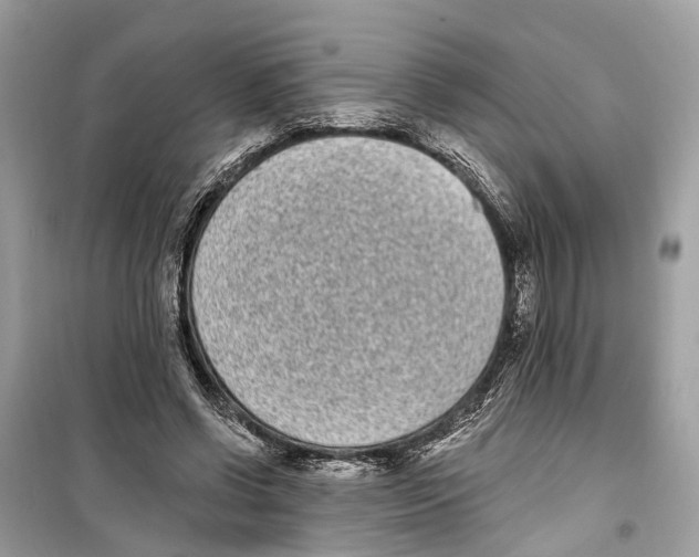 X0000099320542200805231427