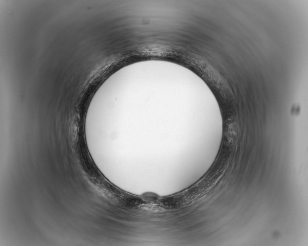 X0000099320544200805231427