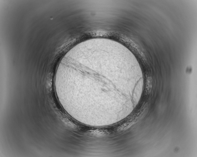 X0000099320545200805231427