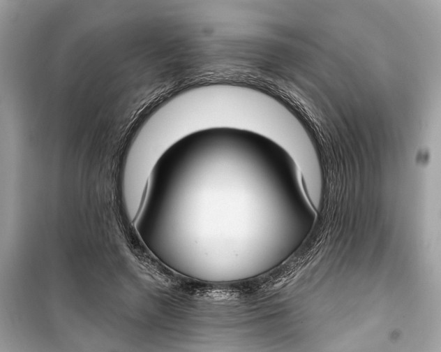 X0000099320546200805231427