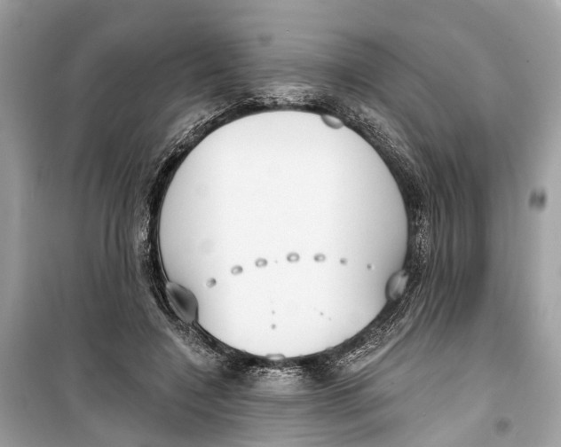 X0000099320548200805231427