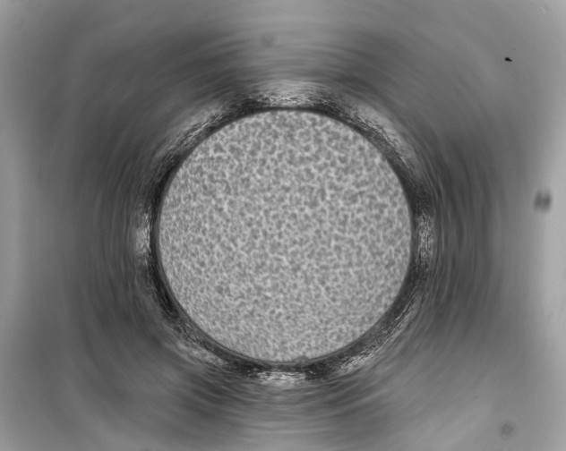 X0000099320549200805231427