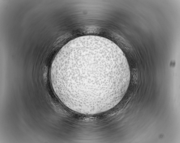 X0000099320550200805231427