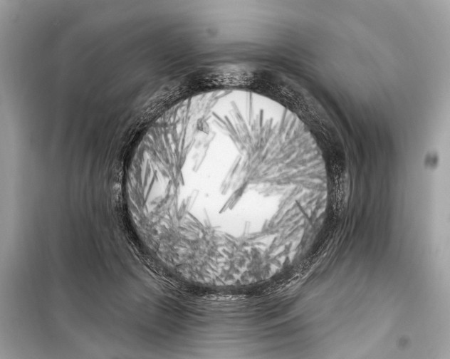 X0000099320553200805231427