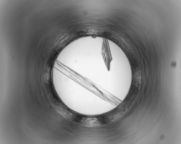 X0000099320554200805231427