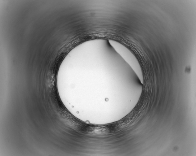 X0000099320555200805231427