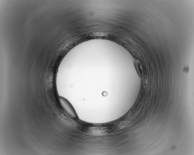 X0000099320556200805231427