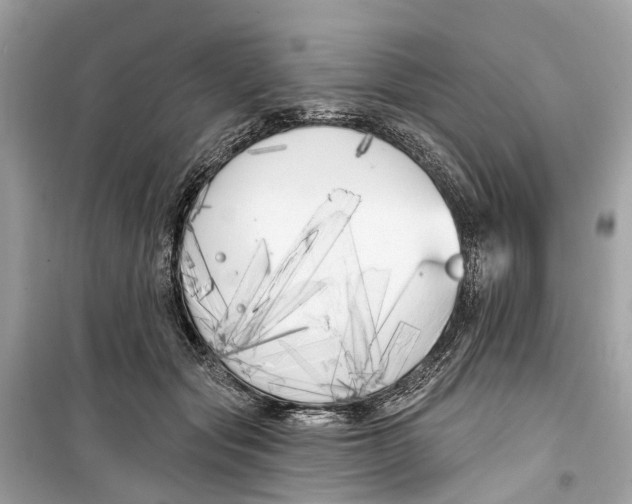 X0000099320557200805231427