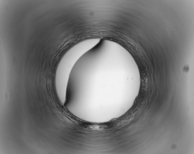 X0000099320558200805231427