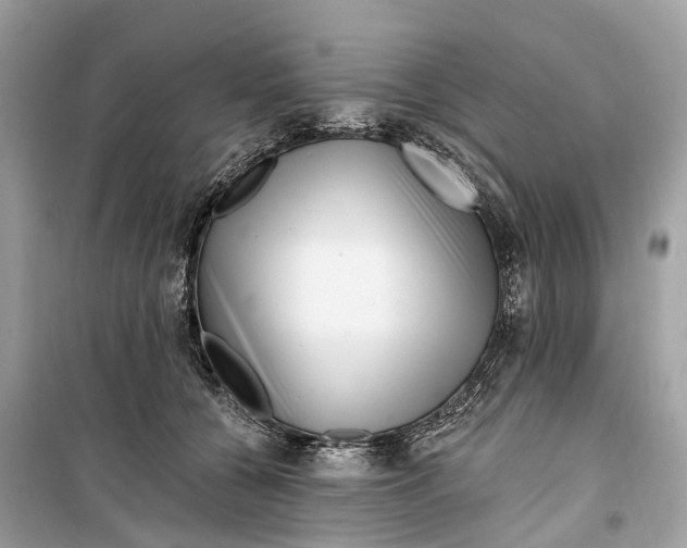 X0000099320560200805231427