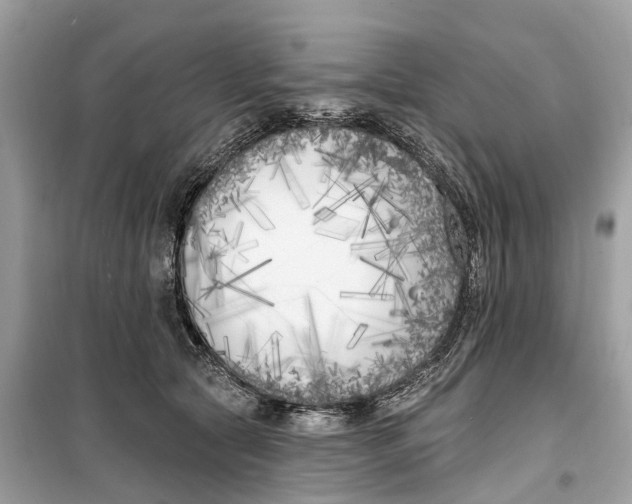 X0000099320561200805231427