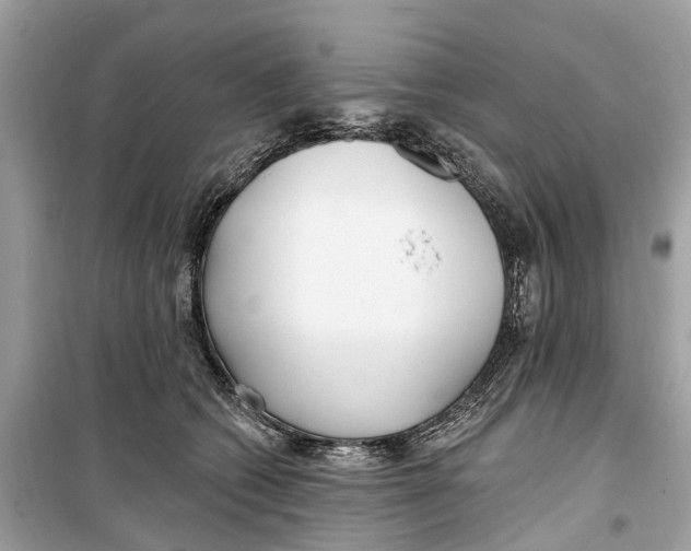 X0000099320562200805231427