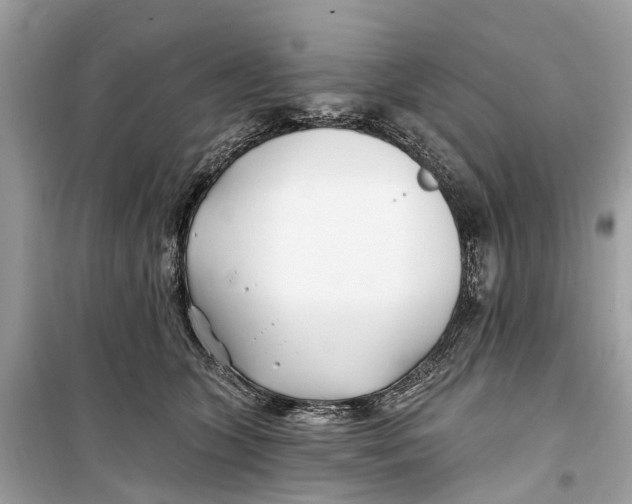 X0000099320563200805231427