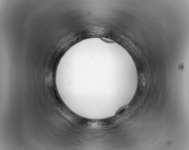 X0000099320564200805231427