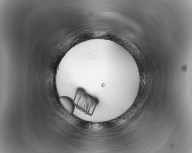 X0000099320565200805231427