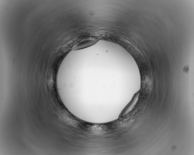 X0000099320566200805231427