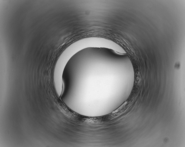 X0000099320568200805231427