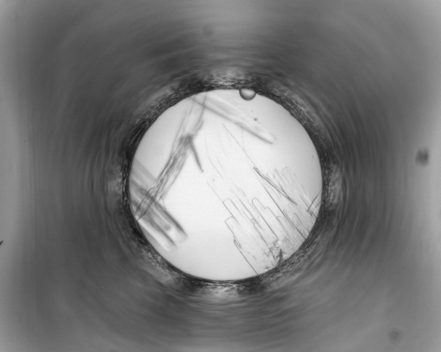 X0000099320569200805231427