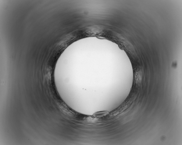 X0000099320570200805231427