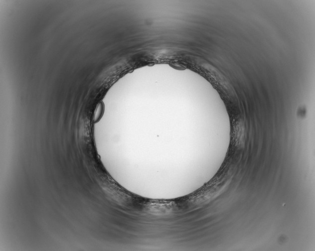 X0000099320571200805231427