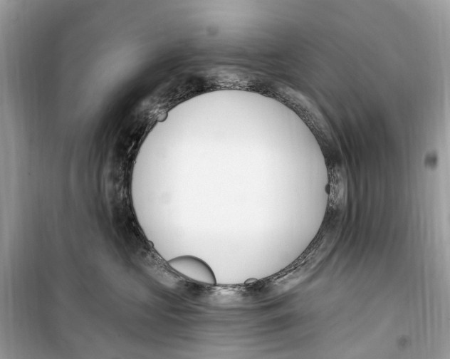 X0000099320573200805231427