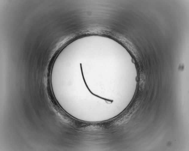 X0000099320578200805231427