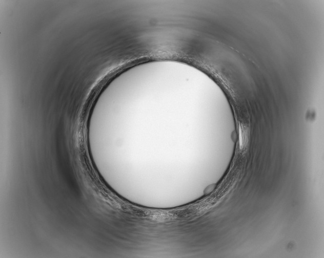 X0000099320579200805231427