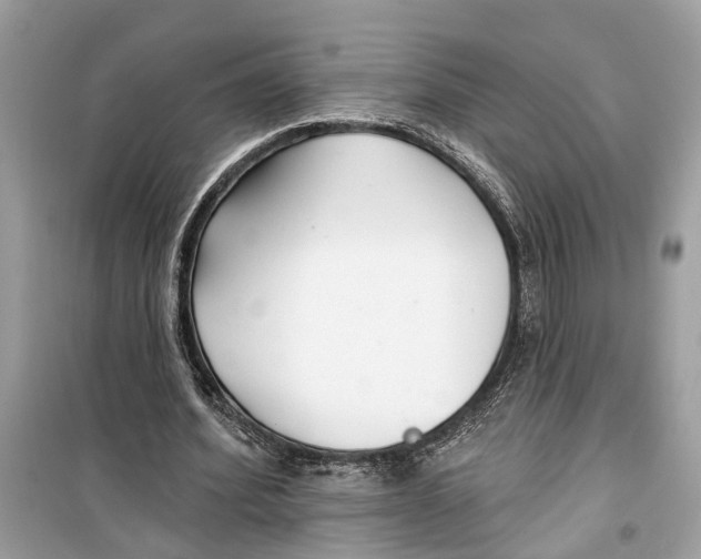 X0000099320580200805231427