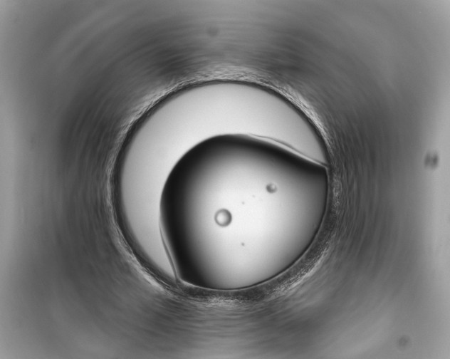 X0000099320581200805231427