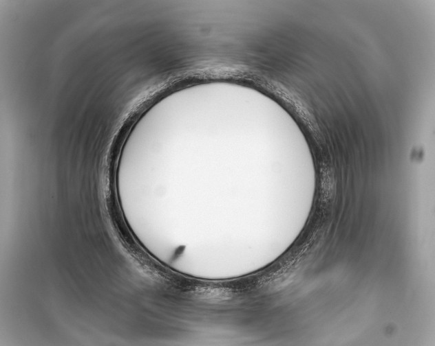 X0000099320582200805231427