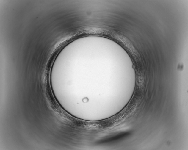 X0000099320583200805231426