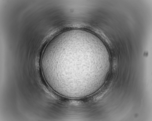 X0000099320585200805231426