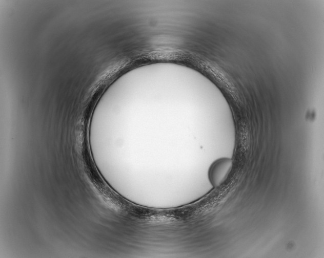 X0000099320586200805231426