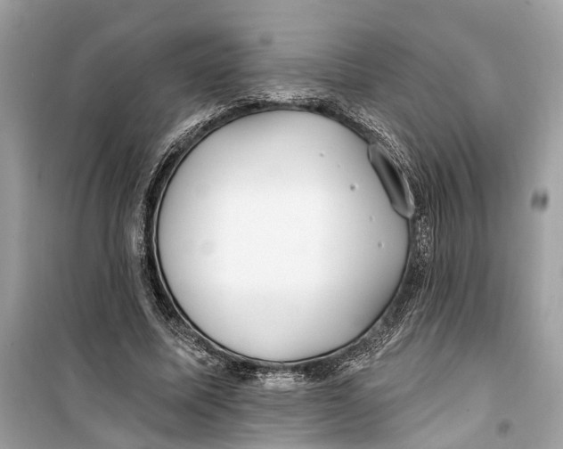 X0000099320587200805231426