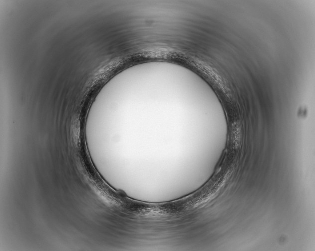 X0000099320589200805231426