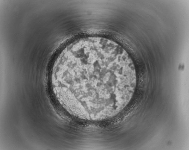 X0000099320592200805231426