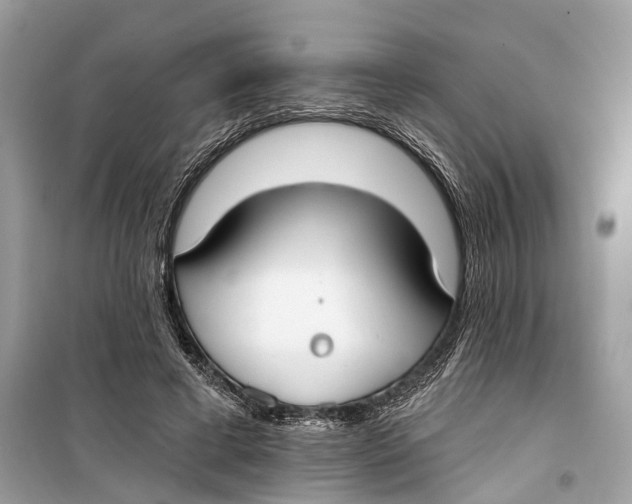 X0000099320593200805231426