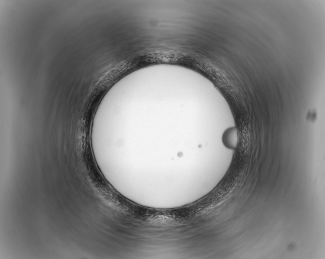 X0000099320594200805231426