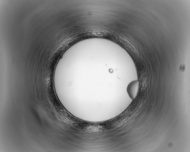 X0000099320595200805231426