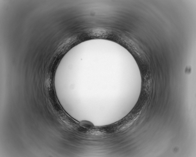 X0000099320597200805231426