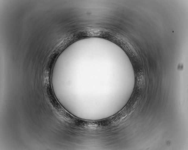 X0000099320598200805231426