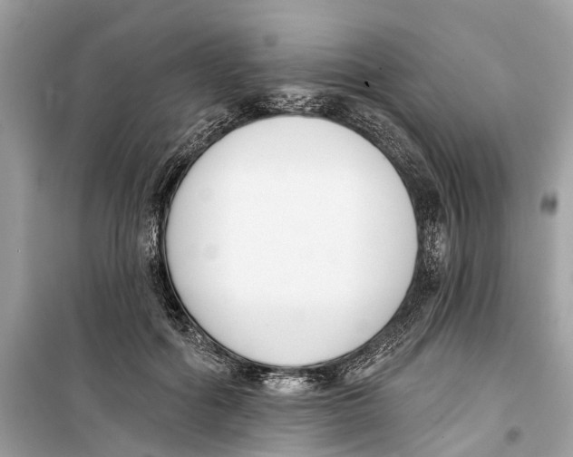 X0000099320602200805231426